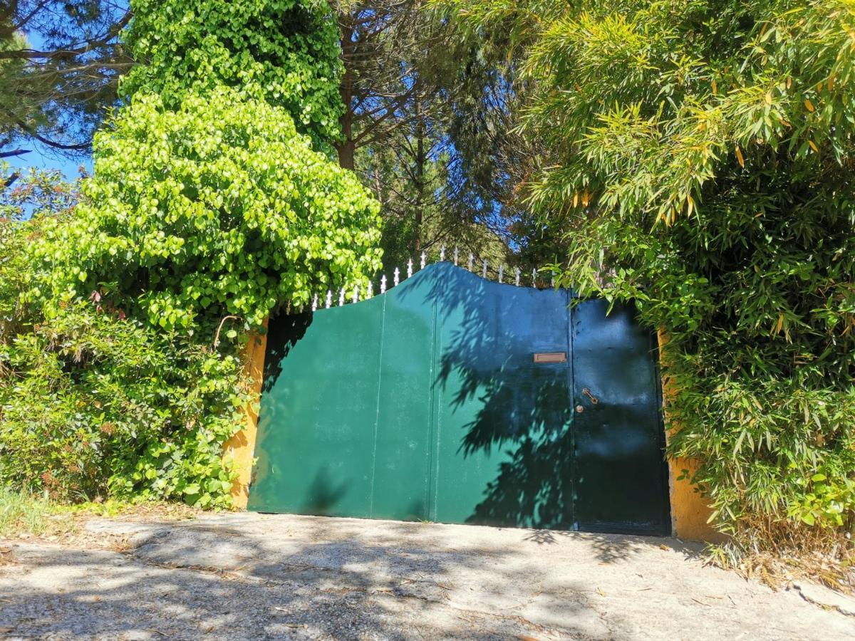 Finca Rural Labriega Del Hueznar Cazalla de la Sierra Exterior photo